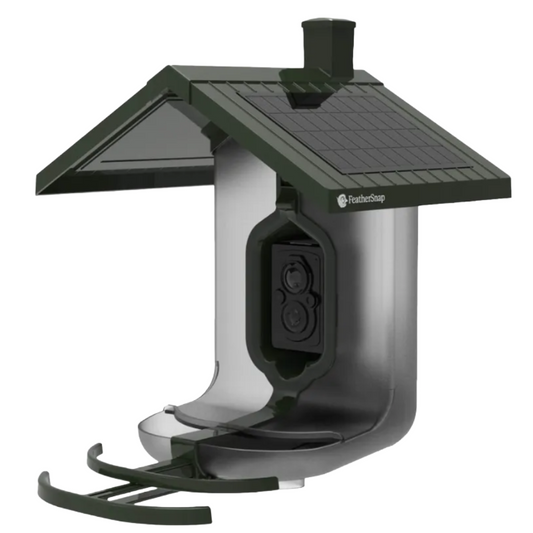 A FeatherSnap solar-powered bird feeder with a dark green roof and perch, a clear central body, and a black camera module on the front, shown on a solid white background.