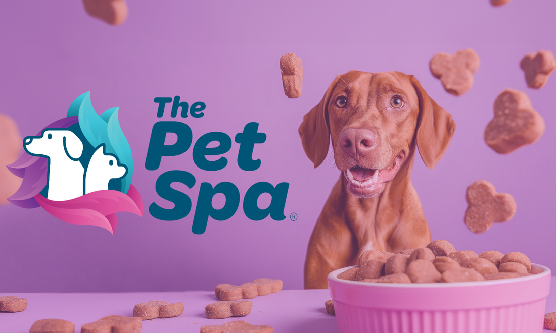 The Pet Spa at Farm & Home Store: Your One‑Stop Destination for Pet Essentials