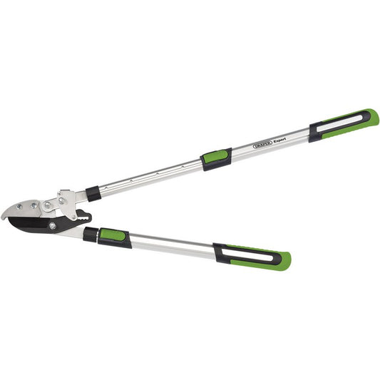 Telescopic Anvil Ratchet Action Loppers