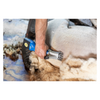 person using the Aesculap Cordless shearing machine for sheep & Dirty Cattle (NOVA) on a sheep