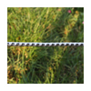 close up image of the rope 