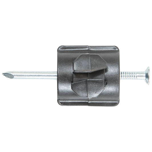 Metal nail with a square head on a white background