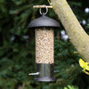 Sunflower feeder with seed inside for small birds