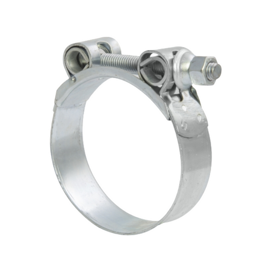 Metal hose clamp on a white background