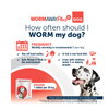 How often should i worm my dog