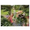 watering hanging baskets with Hozelock Flexi Spray Gun