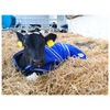JFC Calf Jacket – Large (85cm)