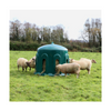 Sheep gathered around a green feeding station in a field with trees in the background.