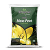 Evergreen Irish Moss Peat 100 Litres
