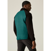 A man wearing a black long-sleeve athletic jacket with a teal green quilted puffer vest layered over the back, shown from a side-back angle against a plain light beige studio background.