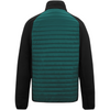 The back view of a men's zip-up jacket featuring a dark teal green quilted center panel and solid black sleeves, collar, and shoulder yoke, shown on a plain white background.