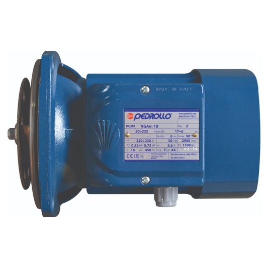 Blue pump with Pedrollo branding on a white background