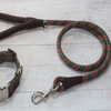 Primo Lead Olive 120cm pictured with collar