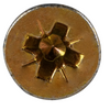 Top view of screw on white background 