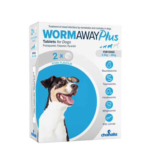 Wormaway Plus Tab 2's IE
