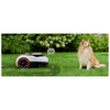 Robotic lawn mower on grass with a dog sitting nearby
