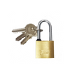 Tessi 30mm Brass Long Shackle Padlock with keys