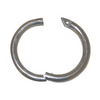 Stainless Steel Bullring 3