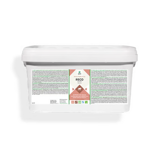 AHV Reco Paste 20 x 32g tubes