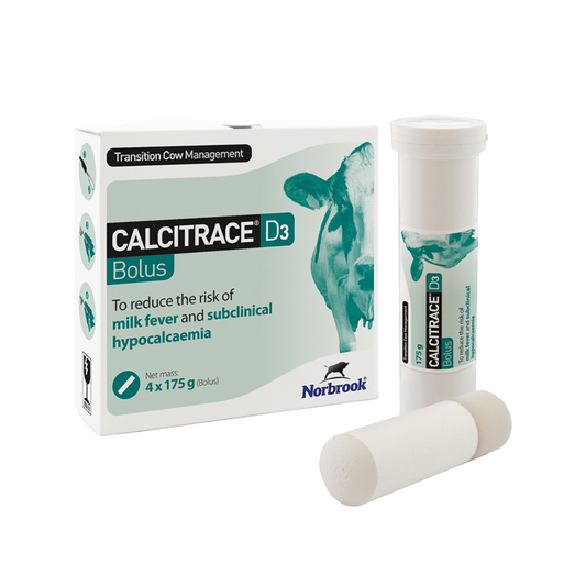Norbrook Calcitrace D3 Bolus