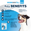 Wormaway Plus Tab 2's IE