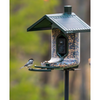 A bird feeder with a small bird perched on the tray, set against a blurred green natural background. The feeder has a dark green roof, a clear body filled with seeds, and a black camera mounted on the front.