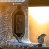 A close-up of a FeatherSnap bird feeder with a small bird perched at the feeder opening, set against a bright golden outdoor background.