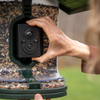A close-up of a person's hand installing a black security camera into a green and clear bird feeder filled with birdseed, set against a soft-focus outdoor background.