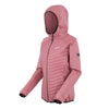 Pink jacket with a hood on a white background
