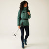 Person wearing a green jacket with hiking gear on a white background