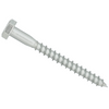 A single silver metal screw with a hexagonal head, shown diagonally on a plain white background.