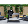 Forge Host Charcoal BBQ
