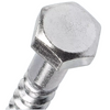 silver screw on white background 