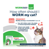 wormaway cat how often should i worm my cat 