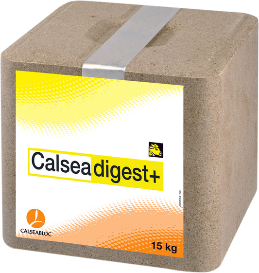 Calsea Digestplus