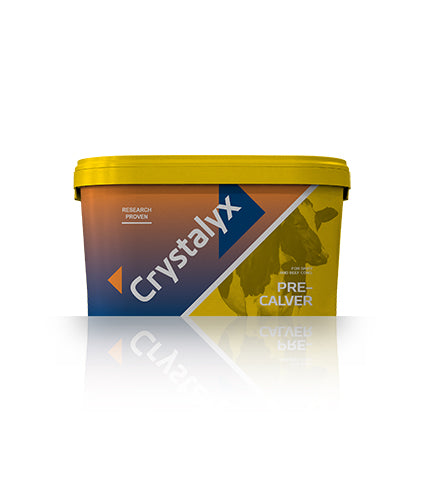 Crystalyx Pre Calver