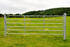 Galvanished Gate 16 Foot D6
