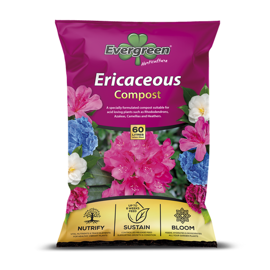Evergreen Ericaceous Compost 60 Litres