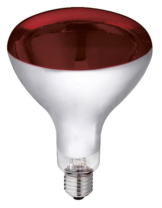 250W Infra-Red Bulb